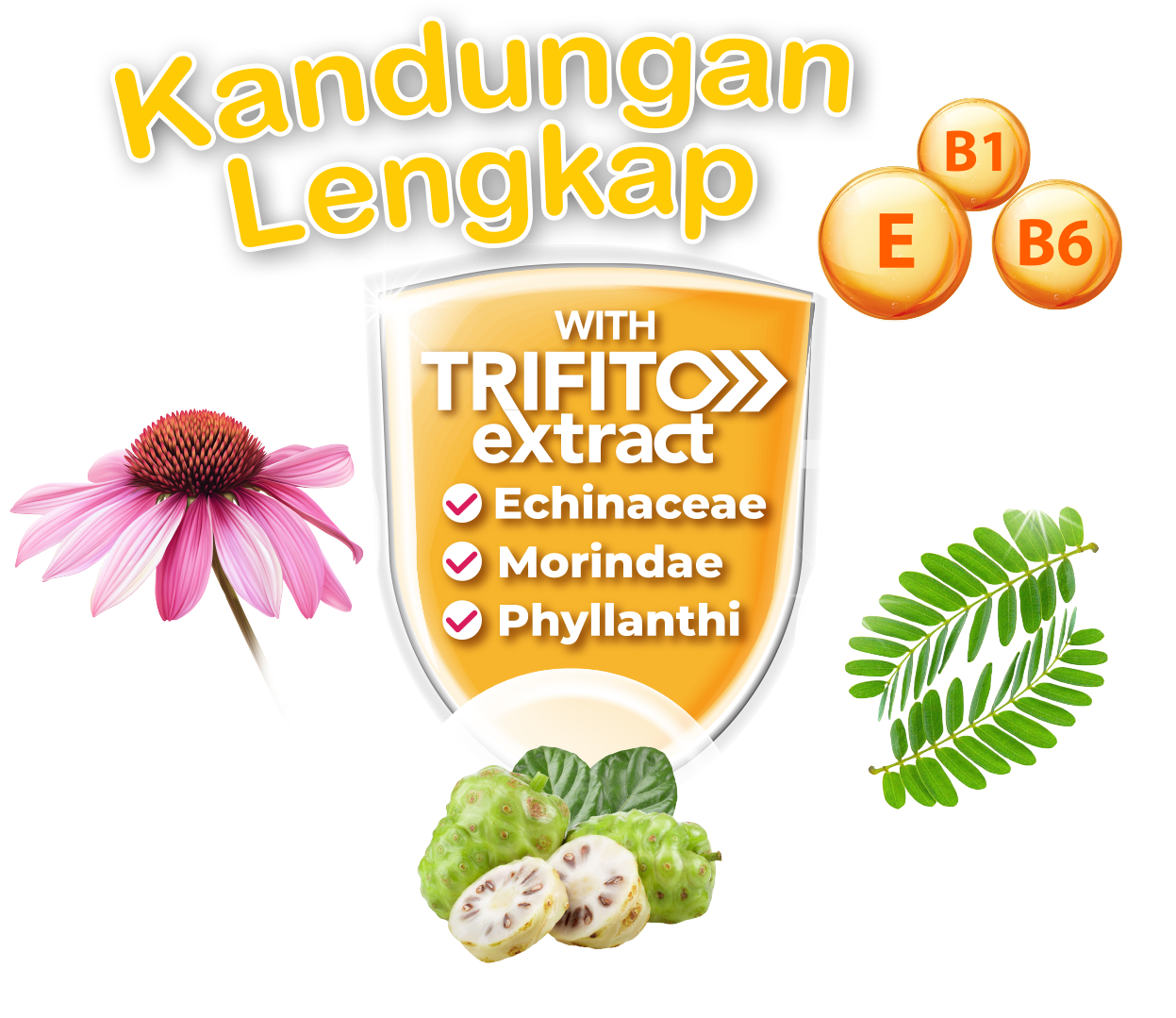 FITUNO – Kandungan Lengkap TRIFITO Extract (Echinacea, Morindae, Phyllanthi)